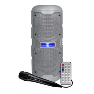 COLUNA INFINITON K50 GREY( Entrada de microfone - Entrada auxiliar: 3